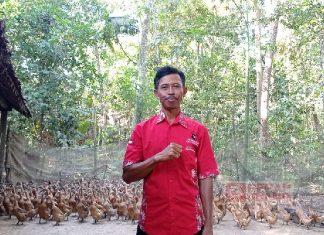 Kembangkan Ternak Bebek, Ini Cerita dan Harapan Ketua PAC PDI Perjuangan Butuh