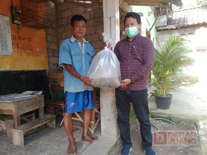 Mbak Puan Berikan Bantuan Bibit Ikan Lele Kepada Kelompok Peternak Ikan