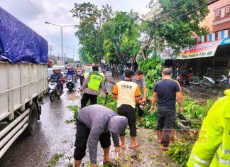PAC Grobogan Sigap Bantu Kepolisian Rapikan Pohon Tumbang