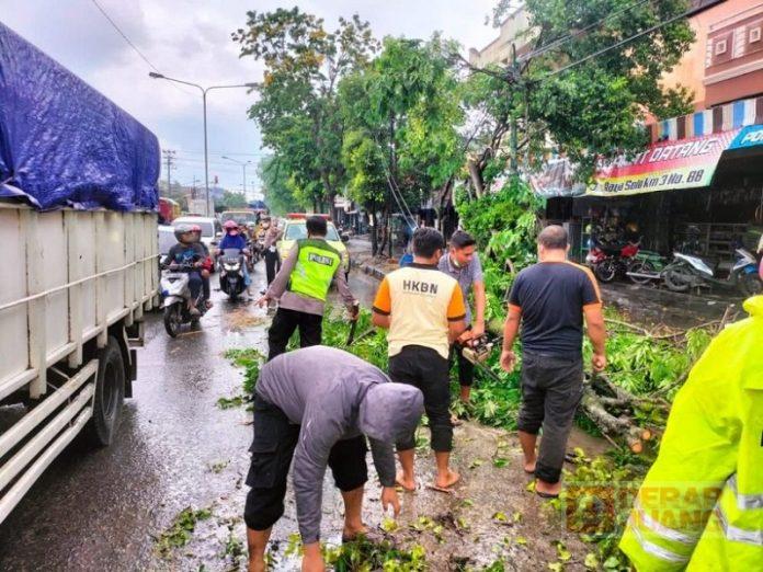 PAC Grobogan Sigap Bantu Kepolisian Rapikan Pohon Tumbang