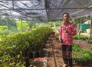 Program Penghijauan Ala Amin Lukmantoro