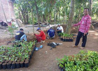 Program ‘Nandur Wit Nggo Anak Putu’ Ala Amin Lukmantoro Disambut Baik Masyarakat