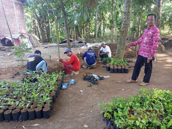 Program ‘Nandur Wit Nggo Anak Putu’ Ala Amin Lukmantoro Disambut Baik Masyarakat (1)