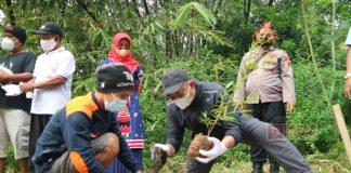 Rober Christanto Ajak Masyarakat Hijaukan Bumi Intanpari