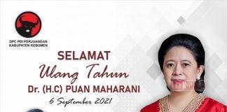 Saiful Hadi: Selamat Ulang Tahun Mbak Puan