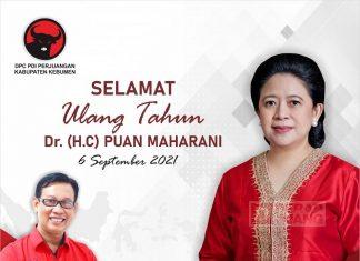 Saiful Hadi: Selamat Ulang Tahun Mbak Puan