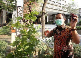 Semarang Jadi Trending Topic, Hendi: Momentum Bumikan Politik Hijau