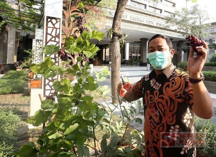 Semarang Jadi Trending Topic, Hendi Momentum Bumikan Politik Hijau