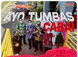 Langsung, Mbak Eisti Pimpin Pembelian 3.1 Ton Cabai