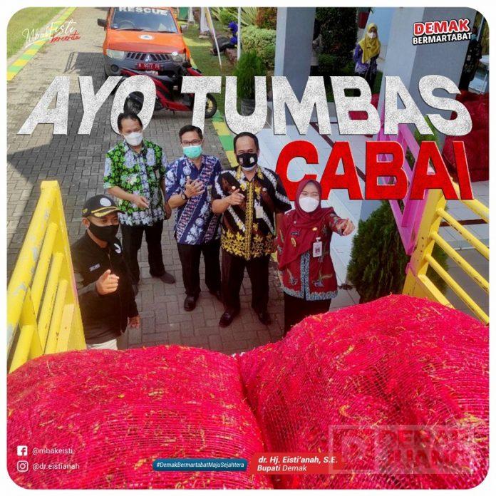 Langsung, Mbak Eisti Pimpin Pembelian 3.1 Ton Cabai