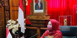 Atasi Hama Tikus, Sri Mulyani Kembangkan Tyto Javanica