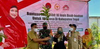 Dewi Aryani Canangkan Bangun Kawasan Buah di 100 Desa