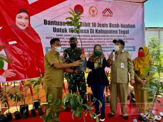 DeAr Canangkan Bangun Kawasan Buah di 100 Desa
