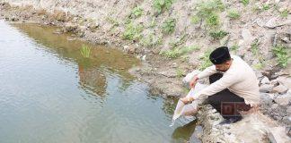 Jaga Ekosistem Serta Aktualisasikan Trisakti Bung Karno, Hamenang Tebar Bibit Ikan