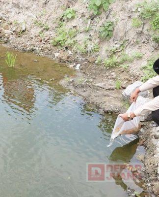 Jaga Ekosistem Serta Aktualisasikan Trisakti Bung Karno, Hamenang Tebar Bibit Ikan