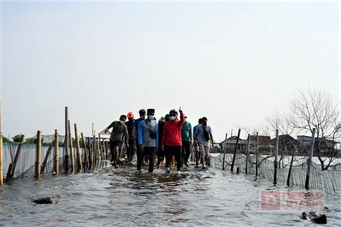 Kader Banteng Demak Medun Pesisir