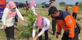 Kader Banteng di Grobogan Pastikan Terus Lakukan Penghijauan