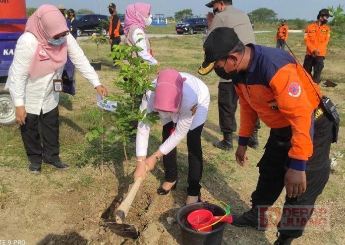 Kader Banteng di Grobogan Pastikan Terus Lakukan Penghijauan