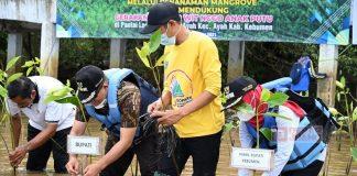 Ristawati Ikuti Program Tanam 50 Ribu Pohon Mangrove