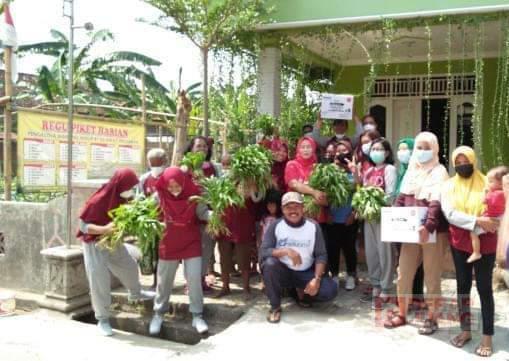 Manfaatkan Pekarangan Rumah, Hartanti Ajak Kaum Ibu Bercocok Tanam