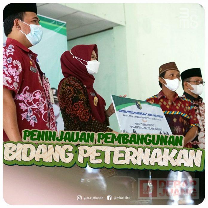 Mbak Eisti Tegaskan Ternak Ruminansia Adalah Potensi Besar