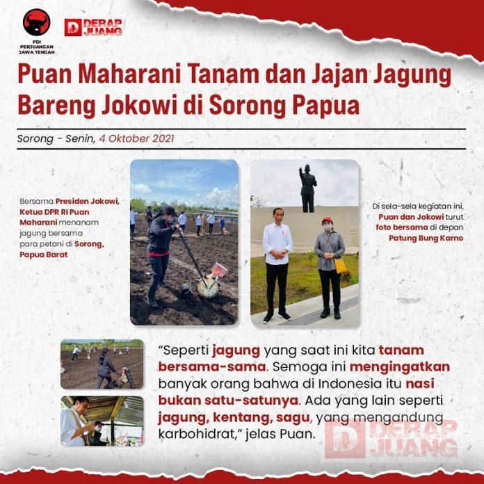 Puan Maharani Tanam dan Jajan Jagung Bareng Jokowi di Sorong Papua