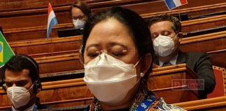 Puan Maharani Sampaikan Program Ketahanan Pangan RI dalam Forum Parlemen G20