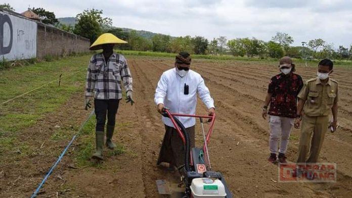 Rangkaian Kegiatan Gus Nabil di Desa Jabung, Kecamatan Gantiwarno