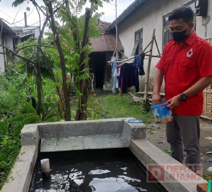 Aplikasikan Ilmu Pelatihan, Kader Komunitas Juang Tegal Kembangkan Budidaya Ikan Lele (2)
