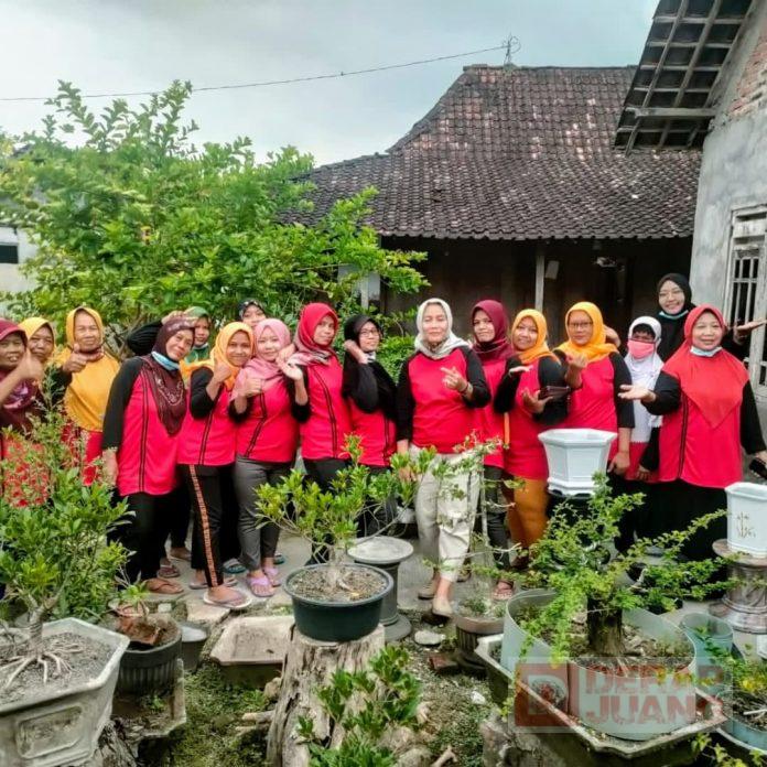 Budidaya Bonsai, Hartanti Awalnya Hobi, Kini Kami Kembangkan