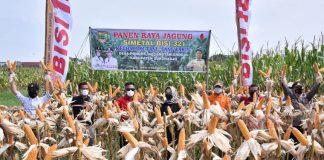 Bupati Etik: Siapa Bilang Tidak Ada Jagung?, Sini ke Sukoharjo