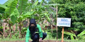 Canangkan Go Green, Etik Suryani Pimpin Tanam 6000 Pohon
