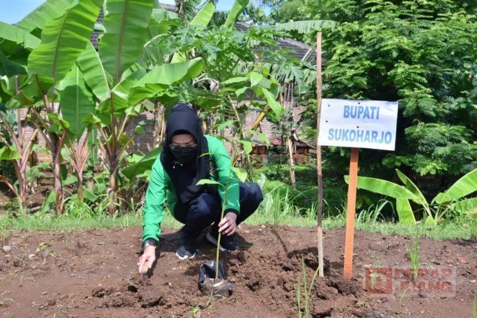 Canangkan Go Green, Etik Suryani Pimpin Tanam 6000 Pohon