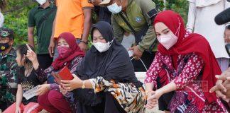 Jaga Kelestarian Penyu, Hesti Nugroho Lepas Ratusan Tukik di Karimunjawa