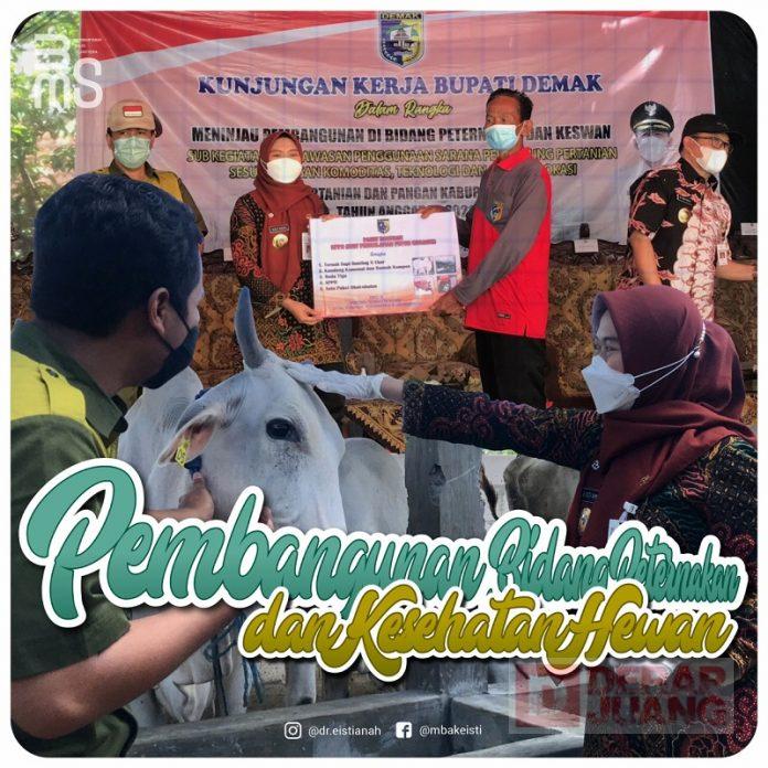 Mbak Eisti Harapkan Ternak Sapi Dioptimalkan Secara Bernjenjang