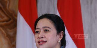 Mbak Puan Dorong Pembangunan Ekonomi Hijau