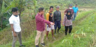 Ongkos Panen Mahal, Petani Minta Pak Sam Bangun Jalan Usaha Tani di Desa Krajan
