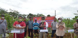 Tanam Palawija Bareng Warga Jenang, Purwanto: Saya Harap Ada Petani Milenial