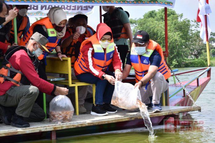 Tebar 50.000 Benih Ikan, Etik Berharap Kunjungan Wisata ke Embung Pengantin Meningkat