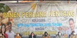 Vita Ervina Dorong Kedaulatan Pangan Melalui Pertanian