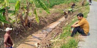 Badarodin Sambangi Petani dan Himpun Fakta-Fakta di Masa Panceklik