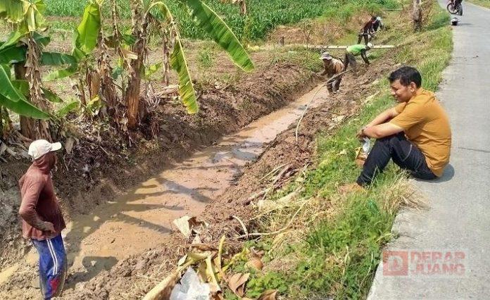 Badarodin Sambangi Petani dan Himpun Fakta-Fakta di Masa Panceklik