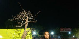 Bermula Hobi Botani, KJ Intan Kini Geluti Usaha Bonsai