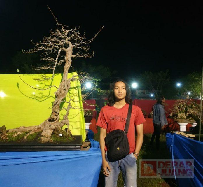 Bermula Hobi Botani, KJ Intan Kini Geluti Usaha Bonsai