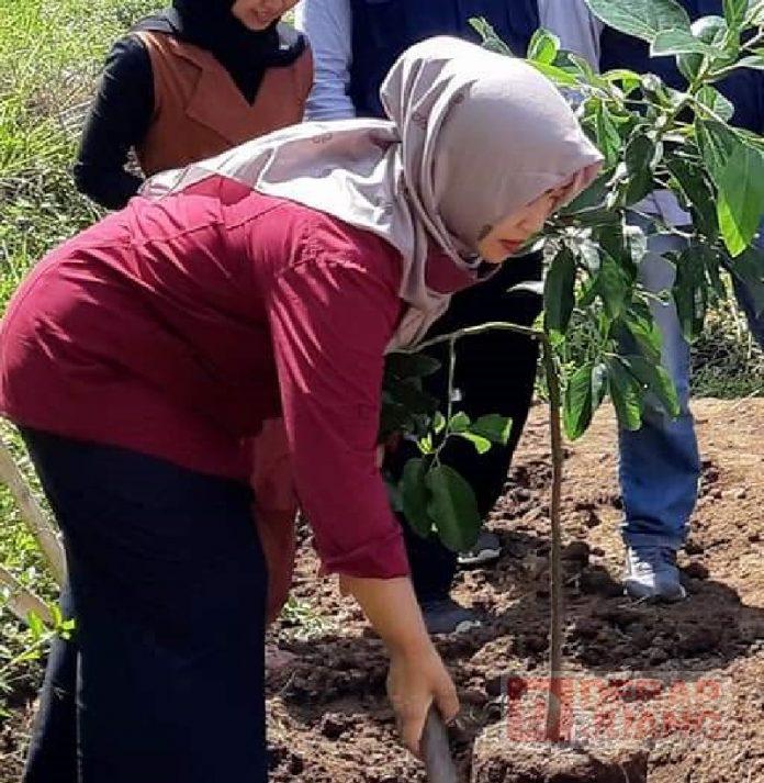 Endrianingsih Yunita Dukung Japan Tani Mandiri Alpukat