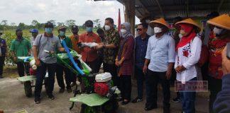 Peduli Petani, Hj. Kadarwati Berikan Bantuan Transplanter