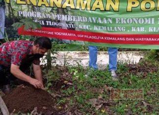 Rawat Lingkungan, Hartanto Tanam 400 Bibit Pohon Jati di Desa Tlogo Watu