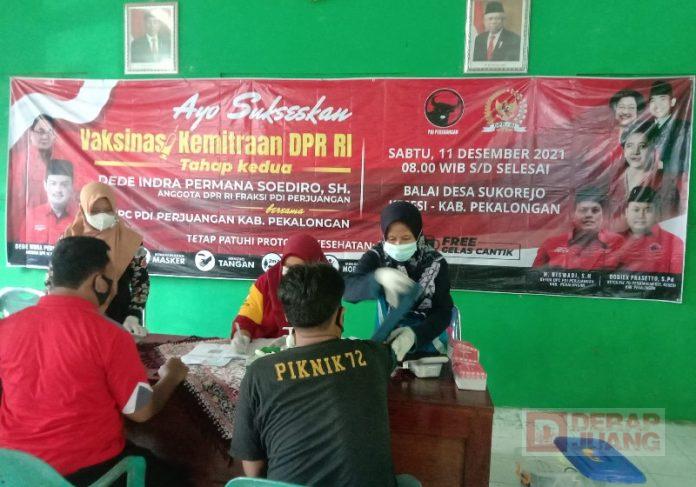 Semangat Gotong Royong Kader Banteng Pekalongan Dukung Herd Immunity (2)