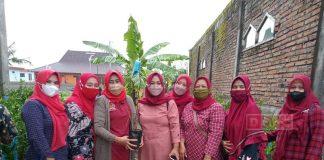 Tingkatkan Produktifitas Kebun Warga, Kadarwati Beri Bantuan Bibit Jeruk dan Pupuk