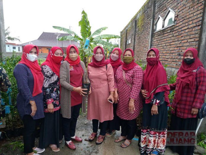 Tingkatkan Produktifitas Kebun Warga, Kadarwati Beri Bantuan Bibit Jeruk dan Pupuk